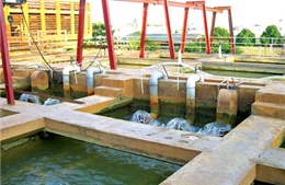 Hà Nội: Bất cập trong quản lý khai thác nước ngầm